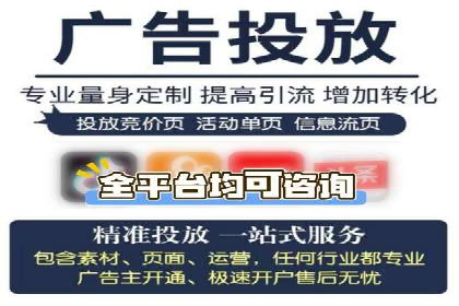 专业SEM运营托管服务案例分析